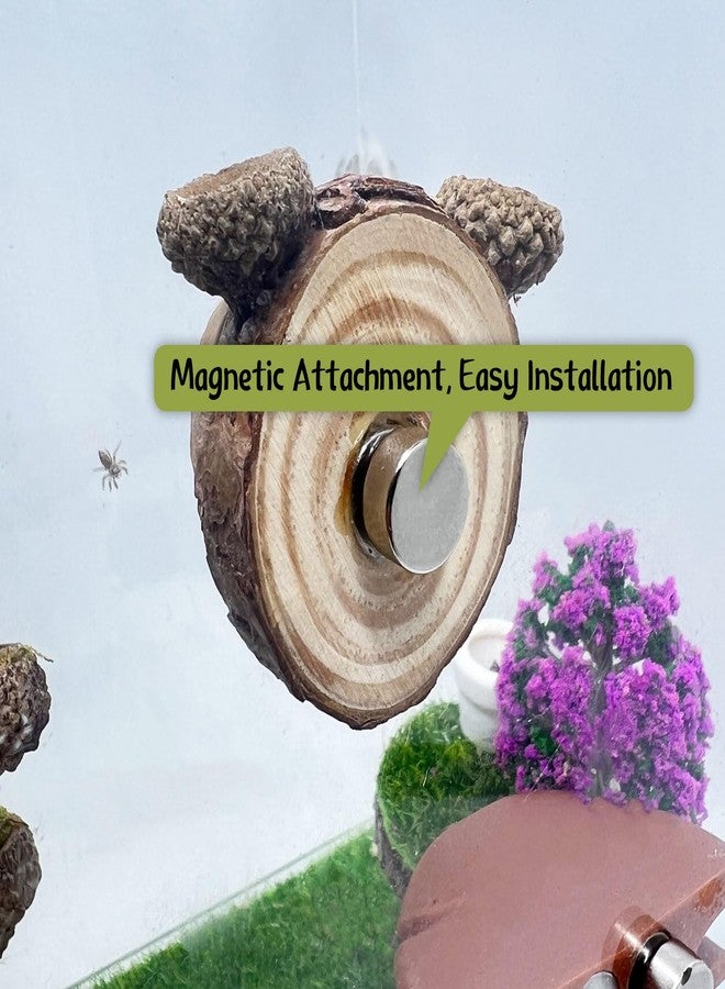 Daerky Jumping Spider Hideaway, Magnetic Jumping Spider Habitat, Spider Jumping Climbing Platform, Handmade Spider Enclosure Accessory - Image 4